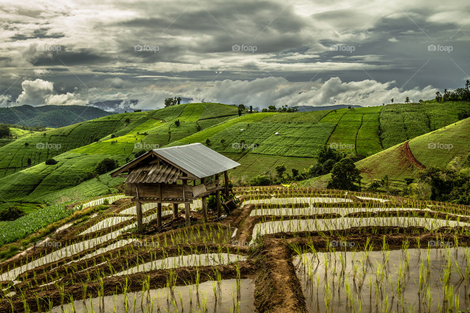 Amazing green rice terraces with mountain and cloudy sky in Thailand