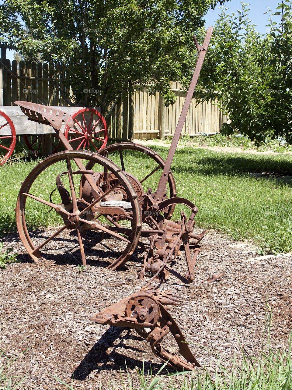 A rusted old field plow being used as an ornamental garden decoration in Central Oregon on a sunny summer day. 