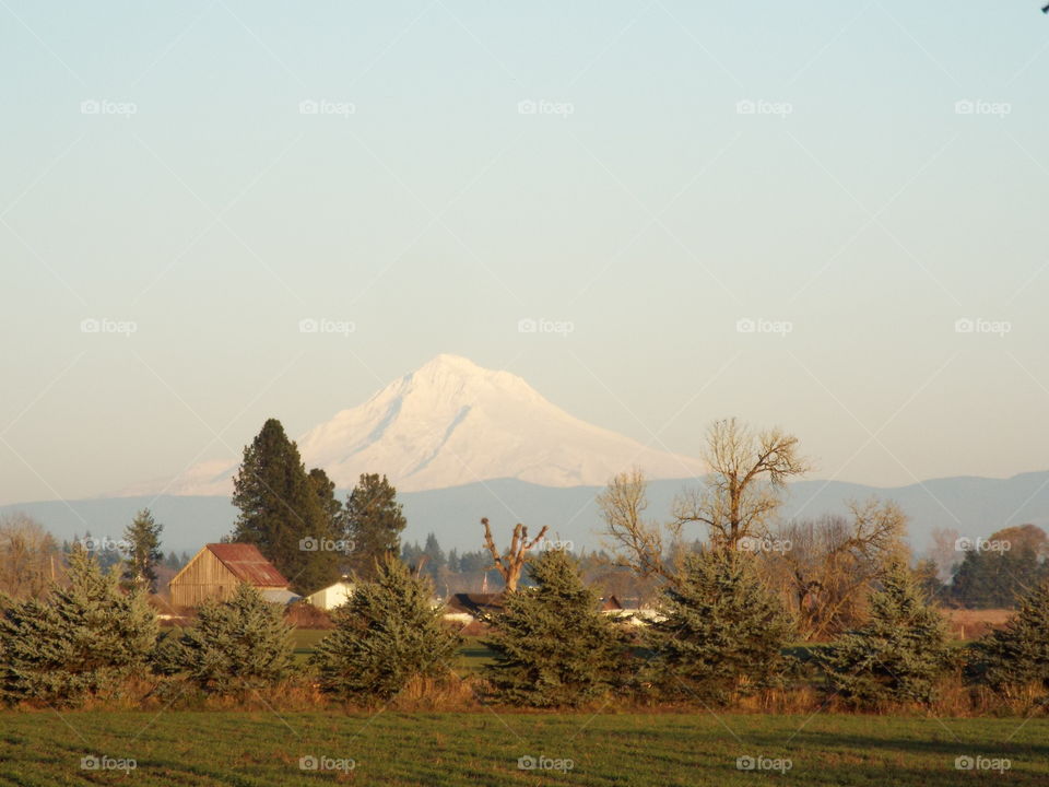 Mt Hood.