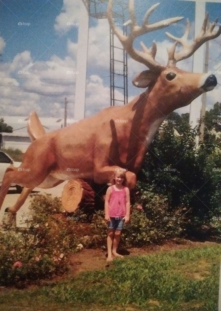 My Daughter and a big deer 😂