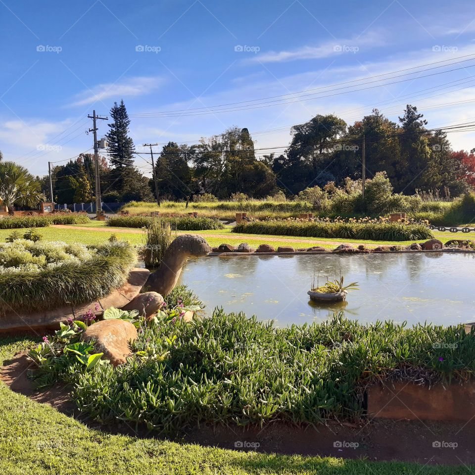 Natureza integrada à história, memória da imigração no Paraná