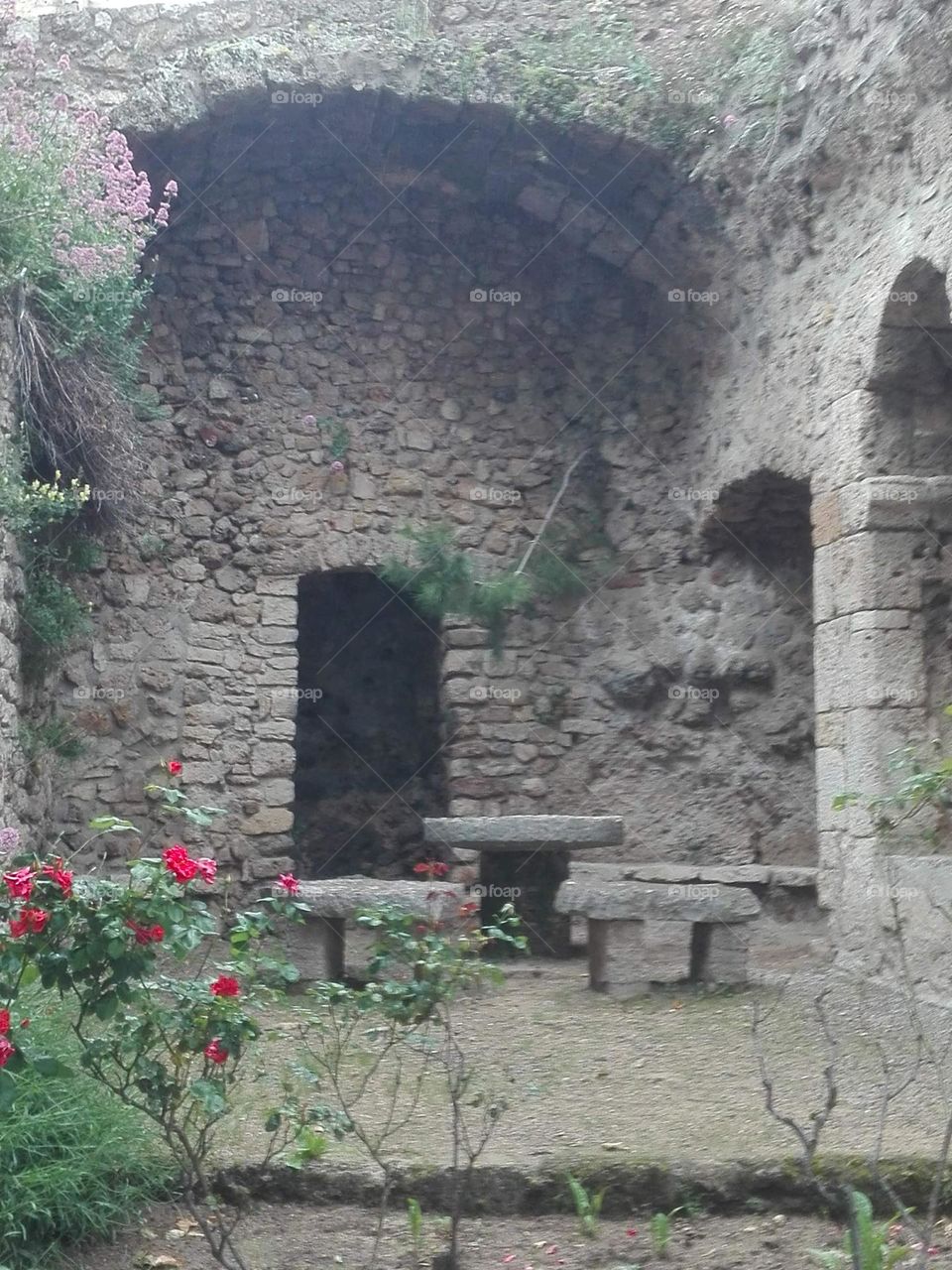 The gorges du Verdon , Ardèche , France