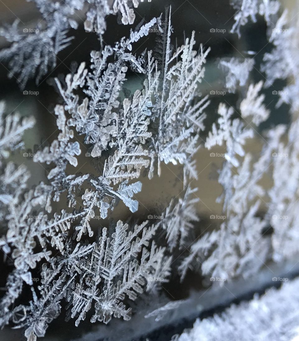 Frost on my car window