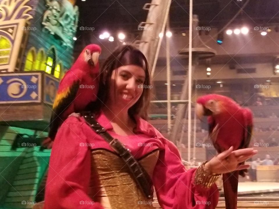 Pirates Voyage Dinner and a Show
Christmas Special
Parrot Trainer