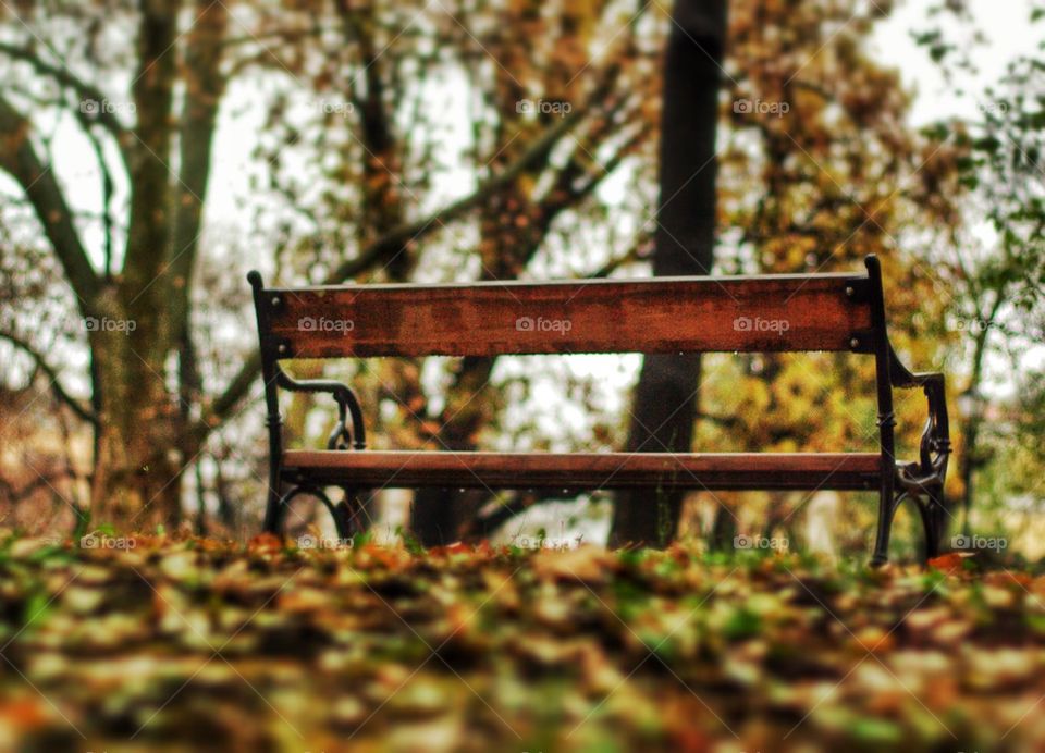 View of a empty bench