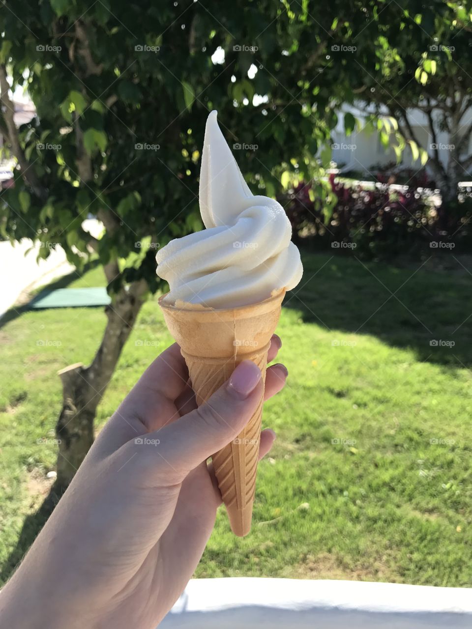 Ice cream on woman hand