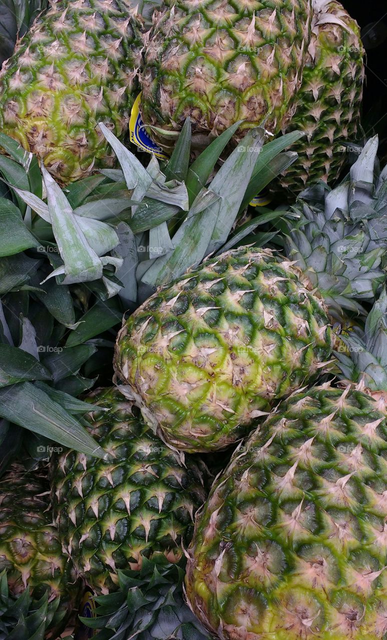 Group of Pineapples