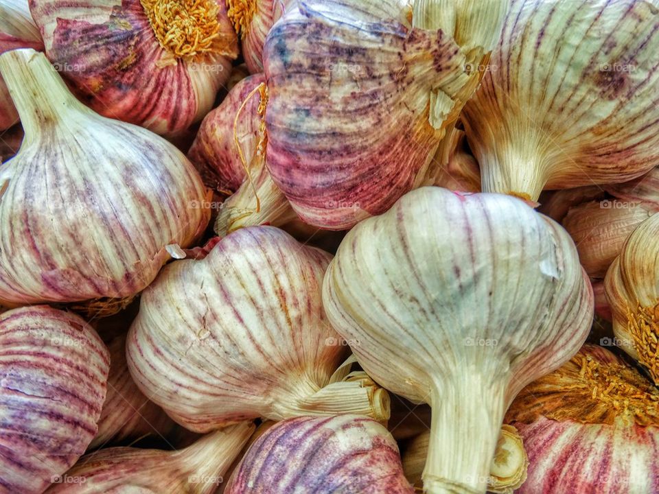 Fresh cloves of garlic