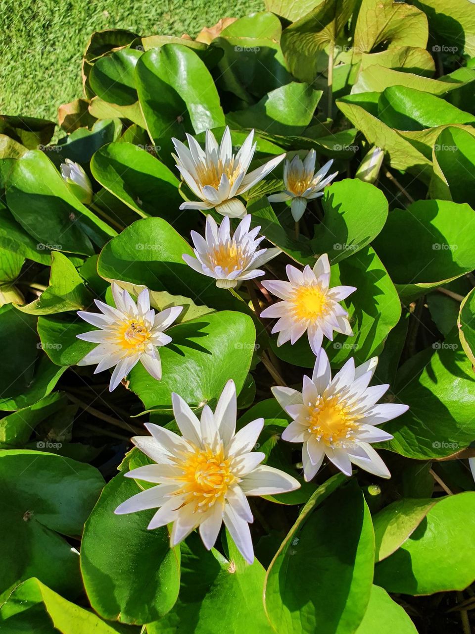 Editors' Choice : Photo of the week