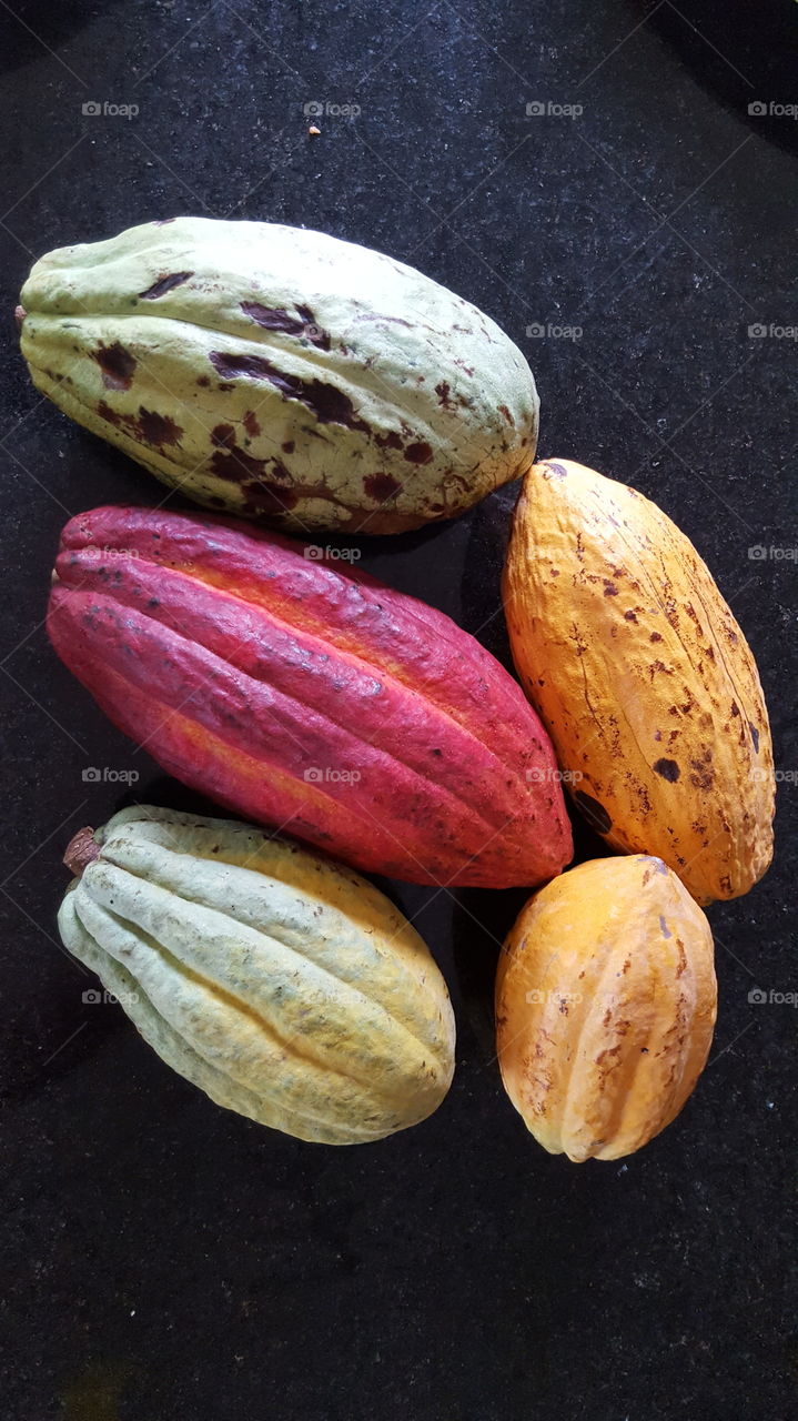 Colorful Cocoa beans