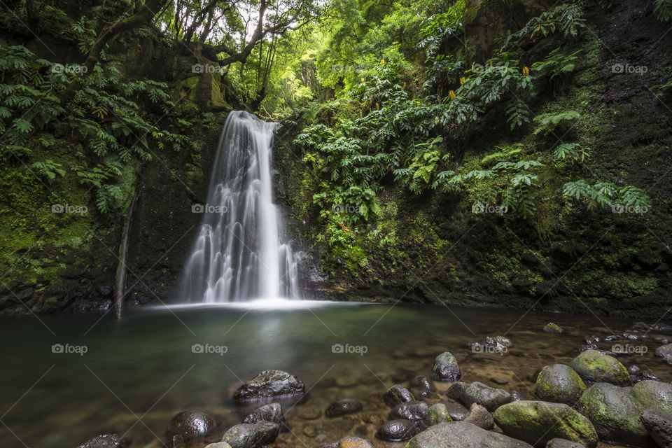 The waterfall of Salto do Prego in the middle of the woods of the island of Sao Miguel, Azores, Portugal.