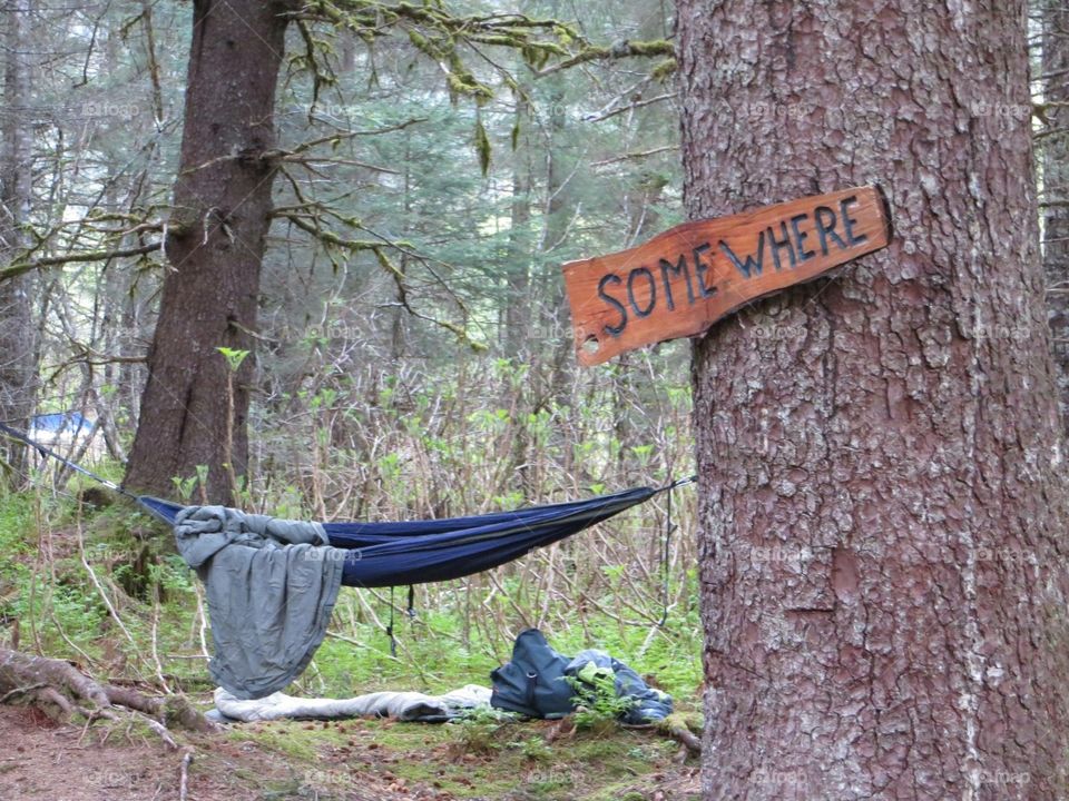 Kayaking in the beautiful state of Alaska!