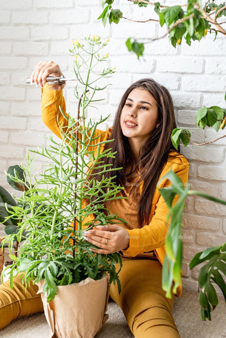 woman planting plant