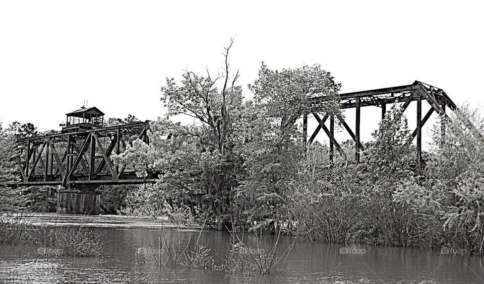 Train Trestle