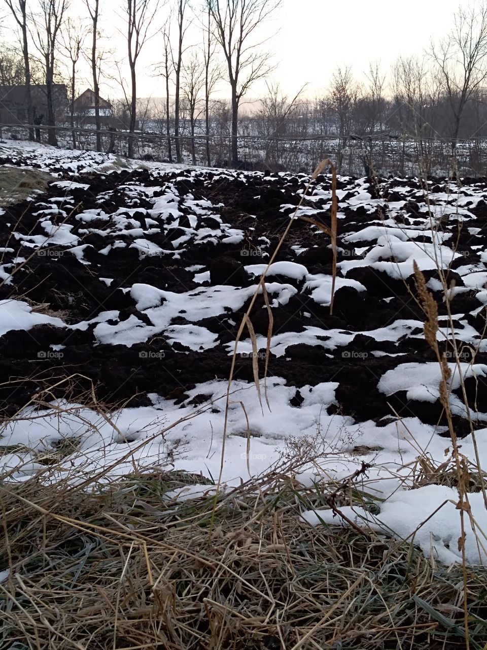 winter landscape design