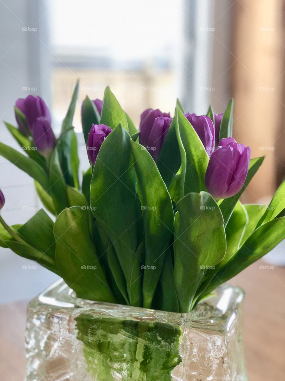 Purple tulips 