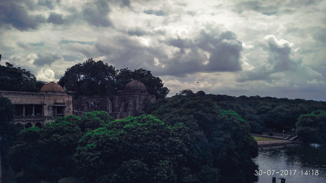 Trees