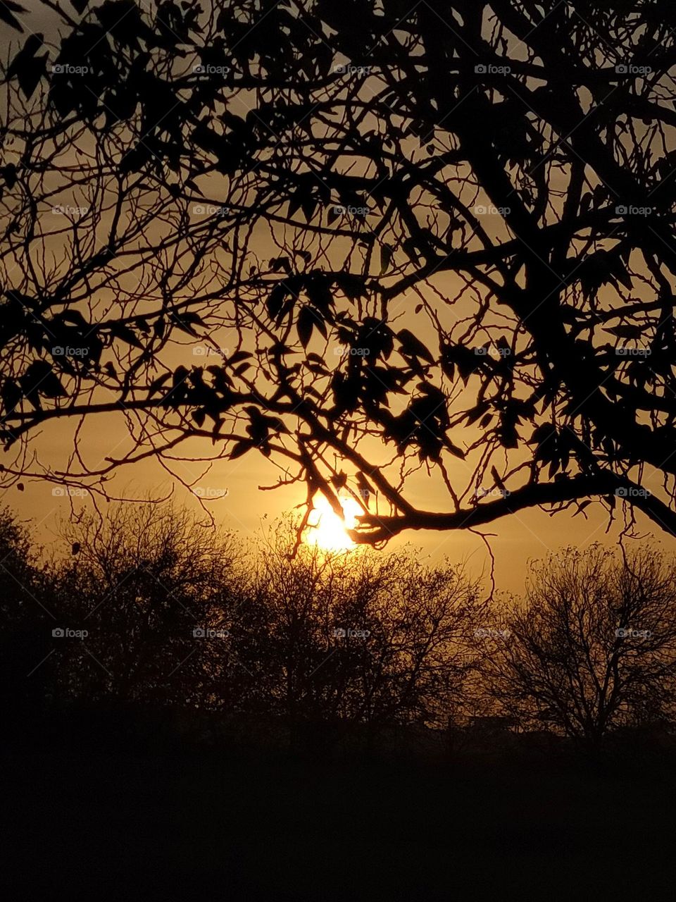 Sunset over south Texas