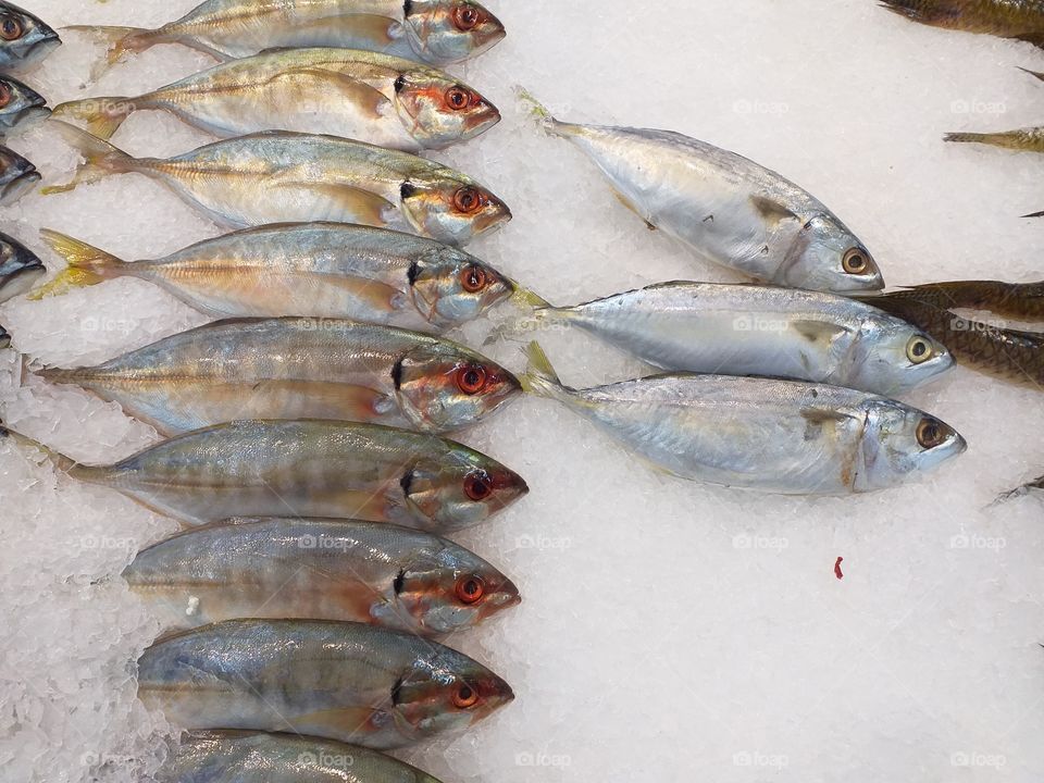 Fishes displayed on tray