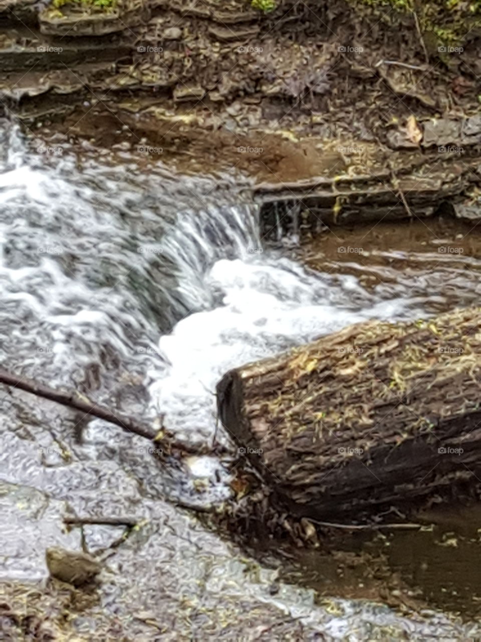 Rushing Creek Water