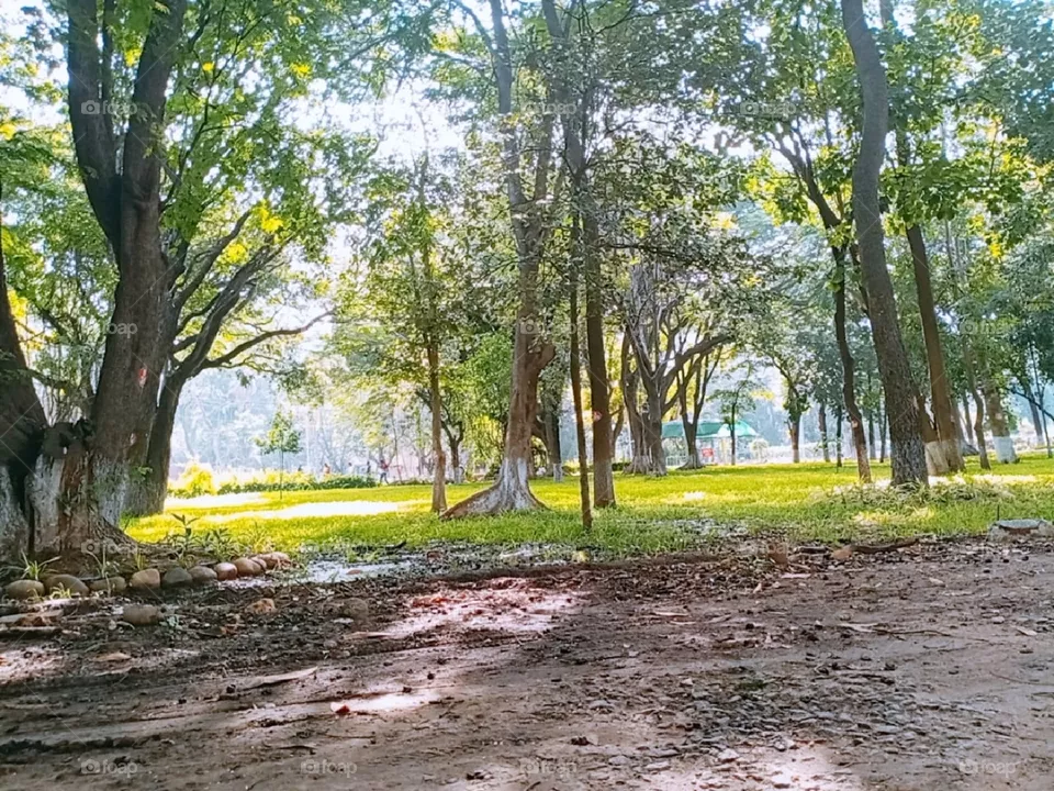 botanical garden