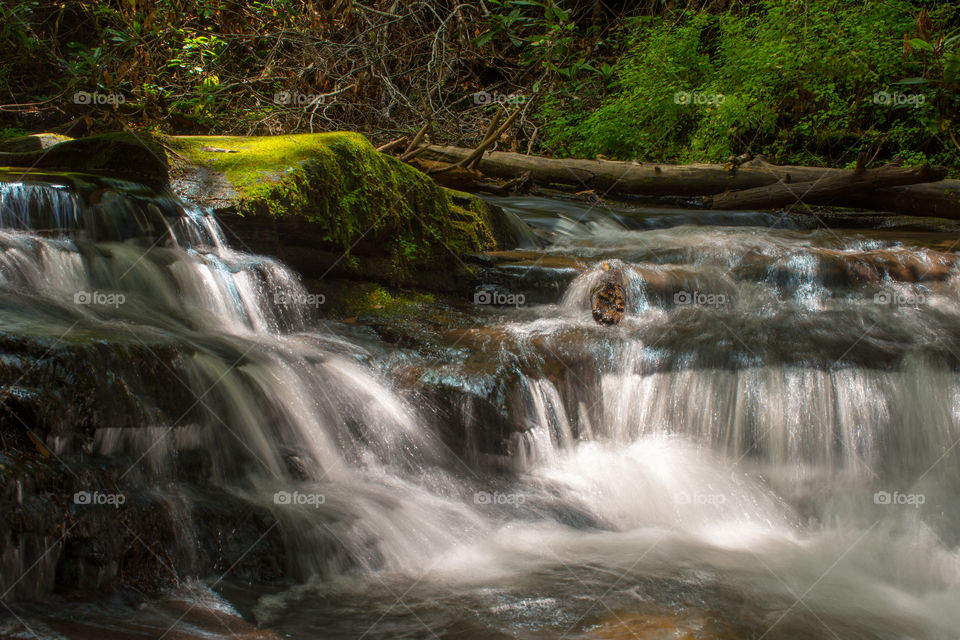 MINNEHAHA FALLS TRAIL
