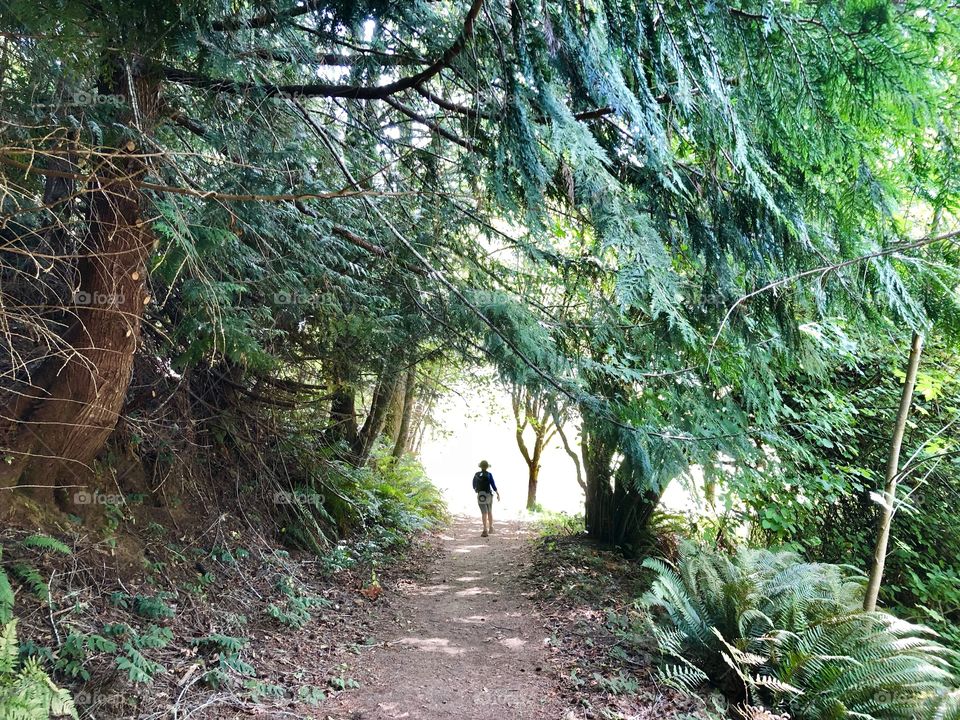 Child Boy Hiking Walking Down Trail