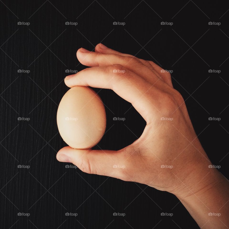 Close-up of person's hand holding egg