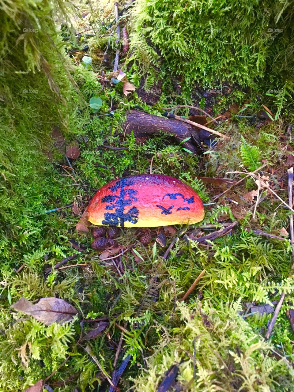 Forest Trail Marker