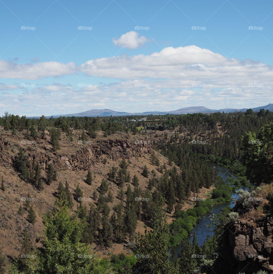 The Deschutes River with lush green tree and bush covered banks and hills in the background in flows through a deep canyon on a sunny spring day in Central Oregon. 