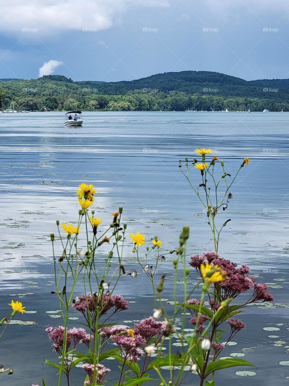 boat on a lake with wildflowers in the foreground
