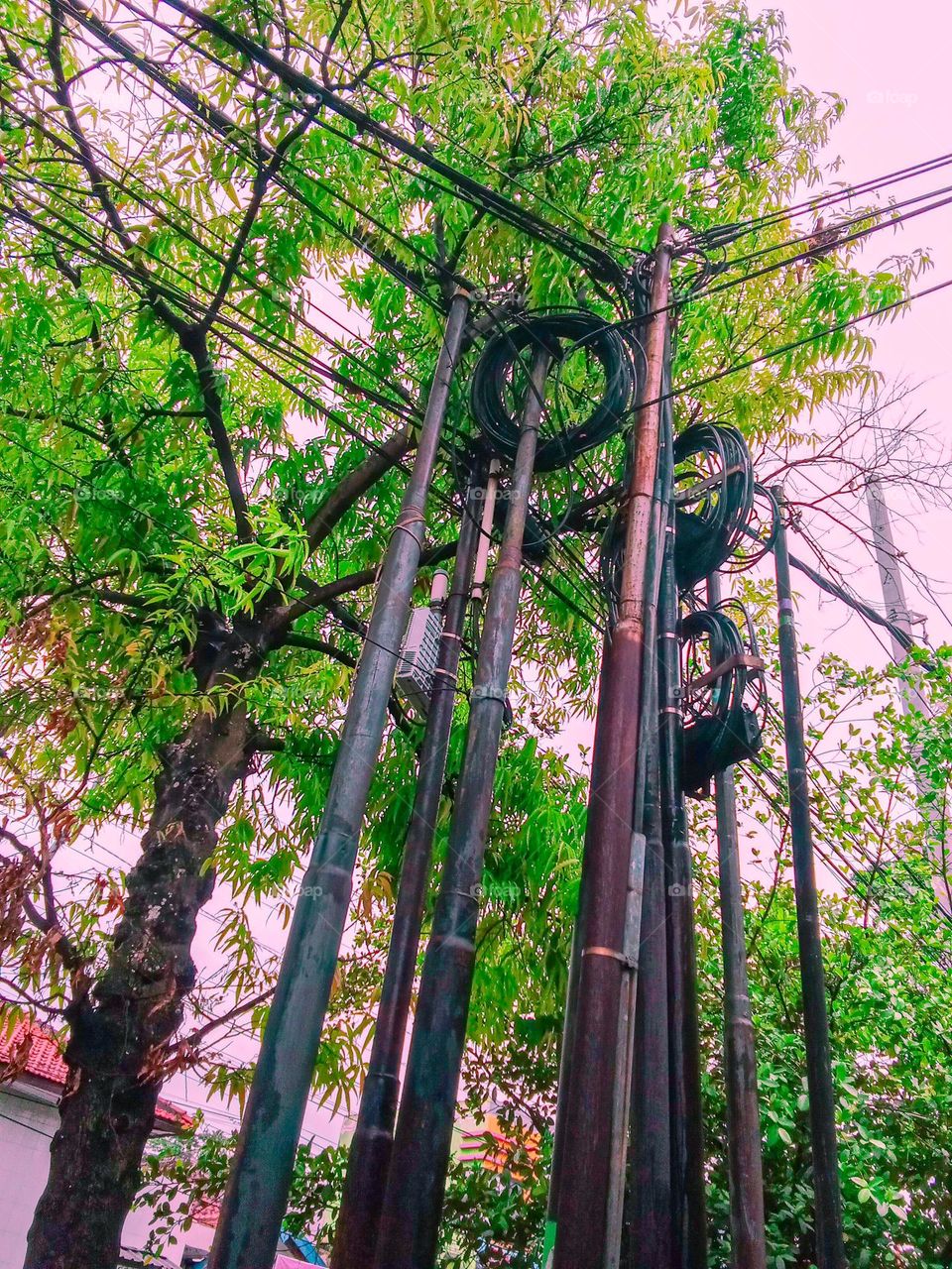 collection of electric poles with neat cables