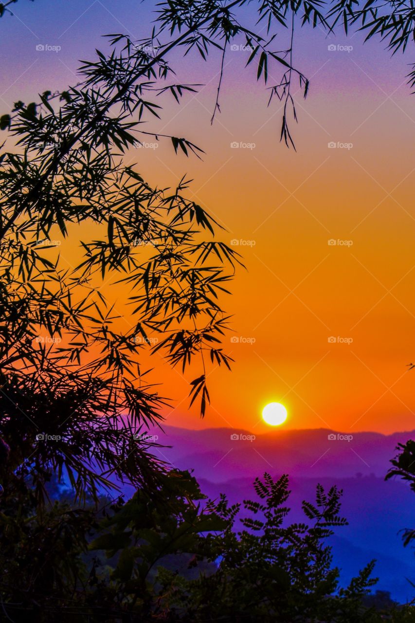 Visual fest of vibrant dusk.