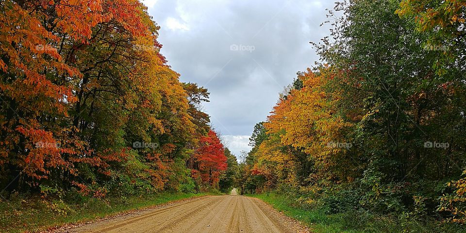 Beautiful color on a country road
