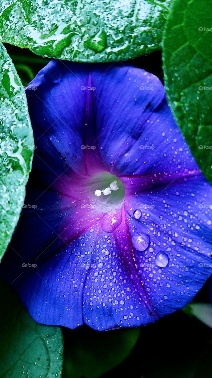 dawn with sprinkles of rain