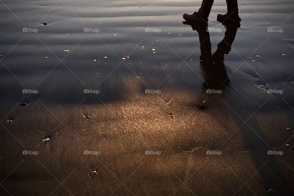 Wet sandy beach at dusk 