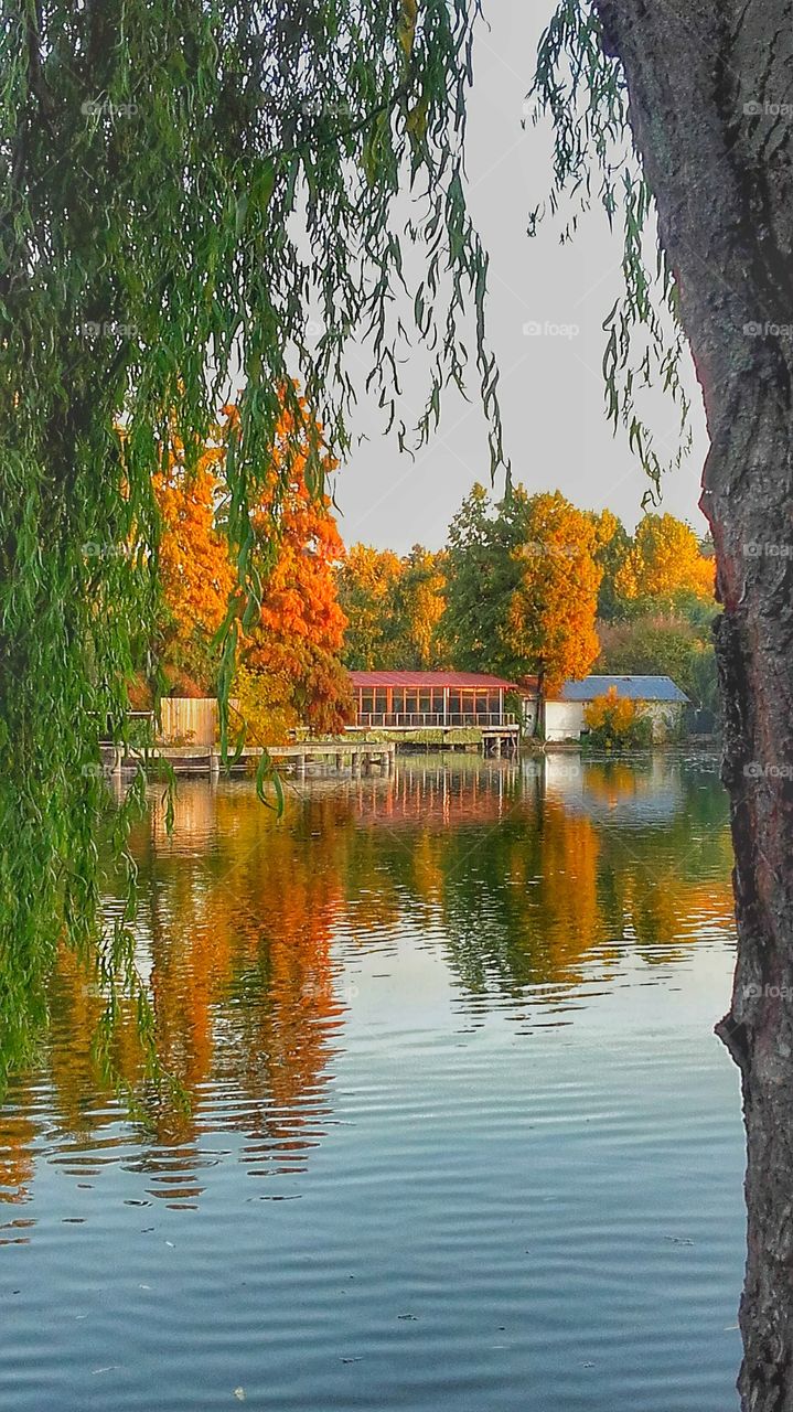 Lake in the fall