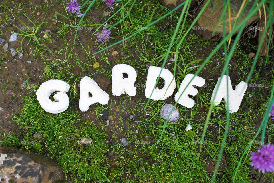Natural Garden