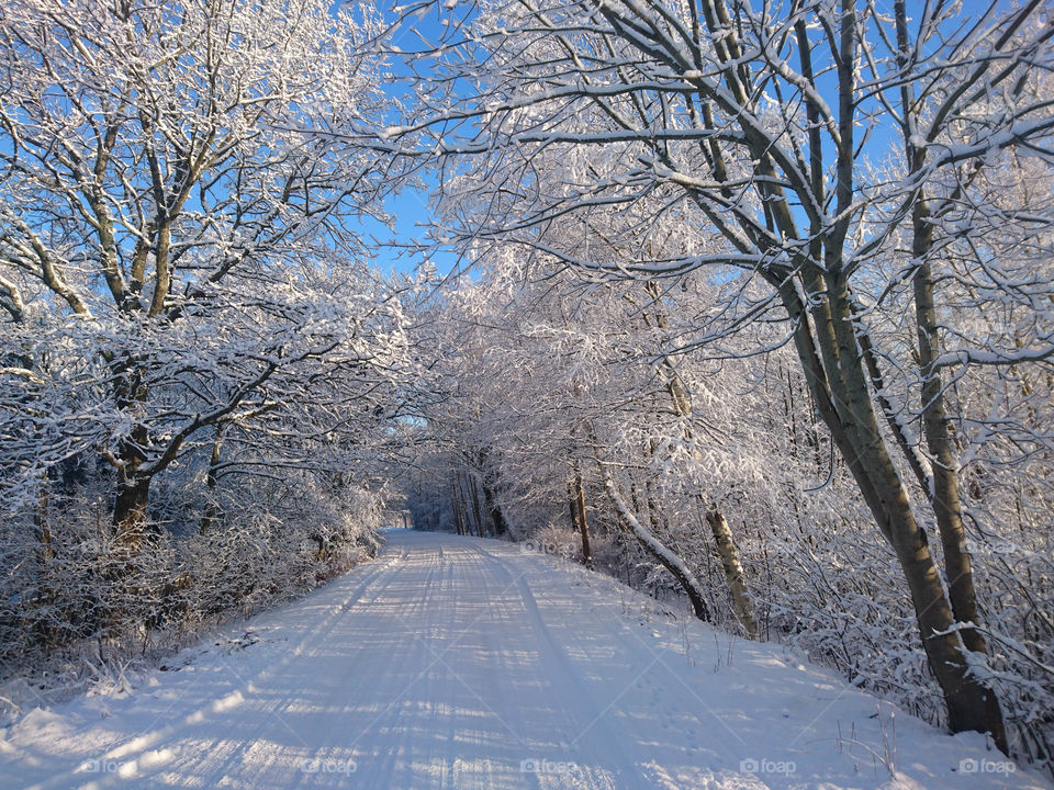 beautiful country road in snowy winter