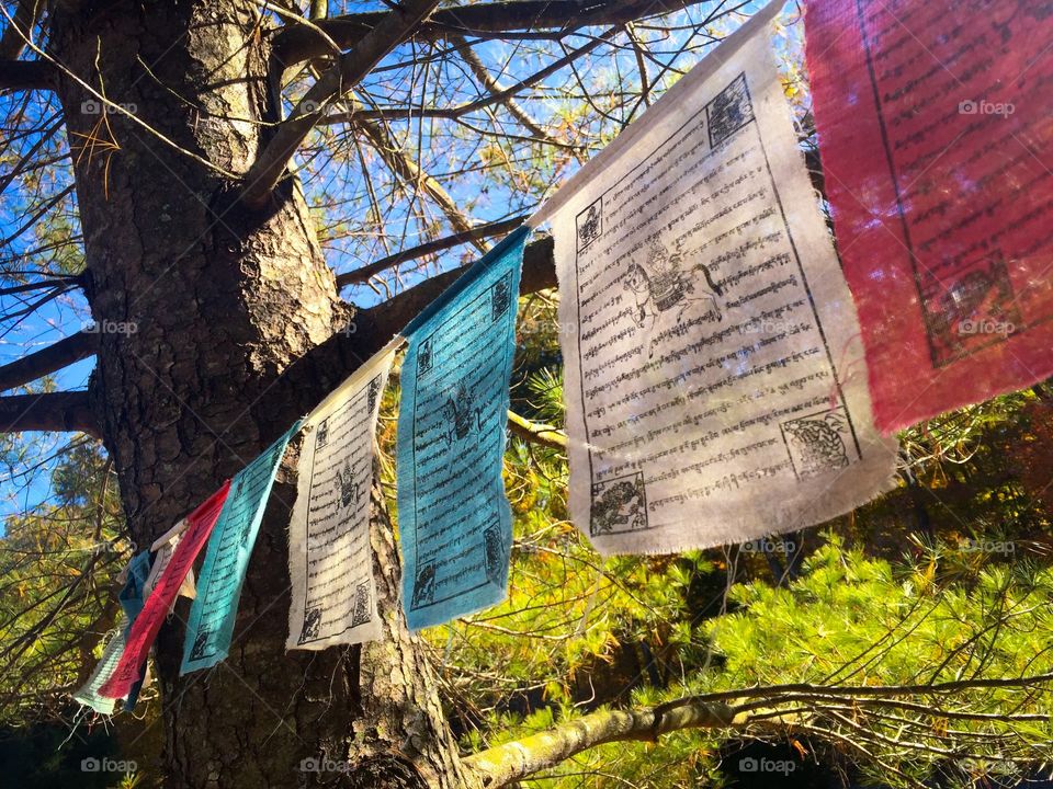 Buddhist prayer flags in Bloomington Indiana. 
