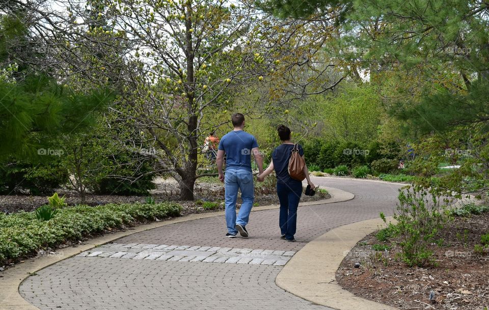 Rear view of couple walking in park