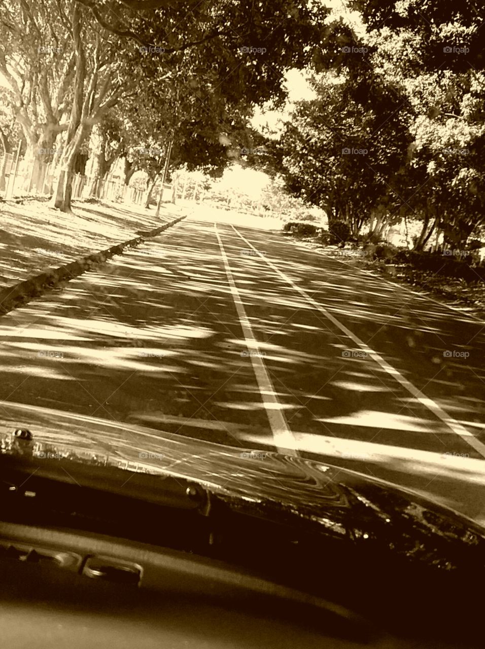 Driving to Palm Beach