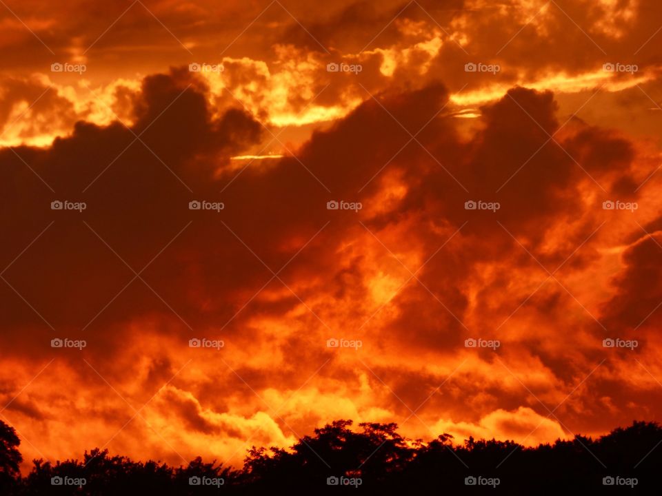 Fire in the sky