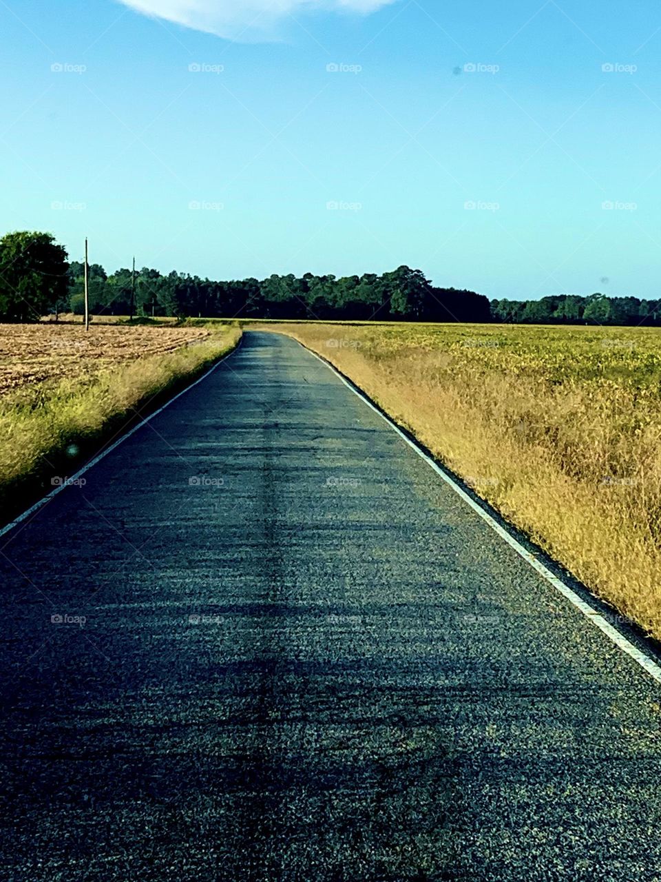 Country road 