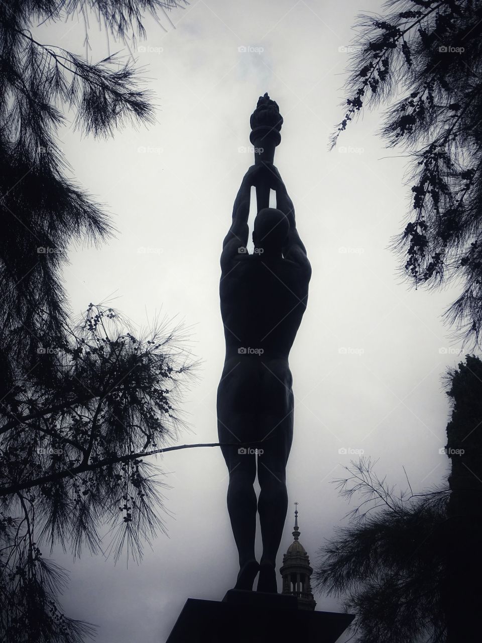 Life in black and white