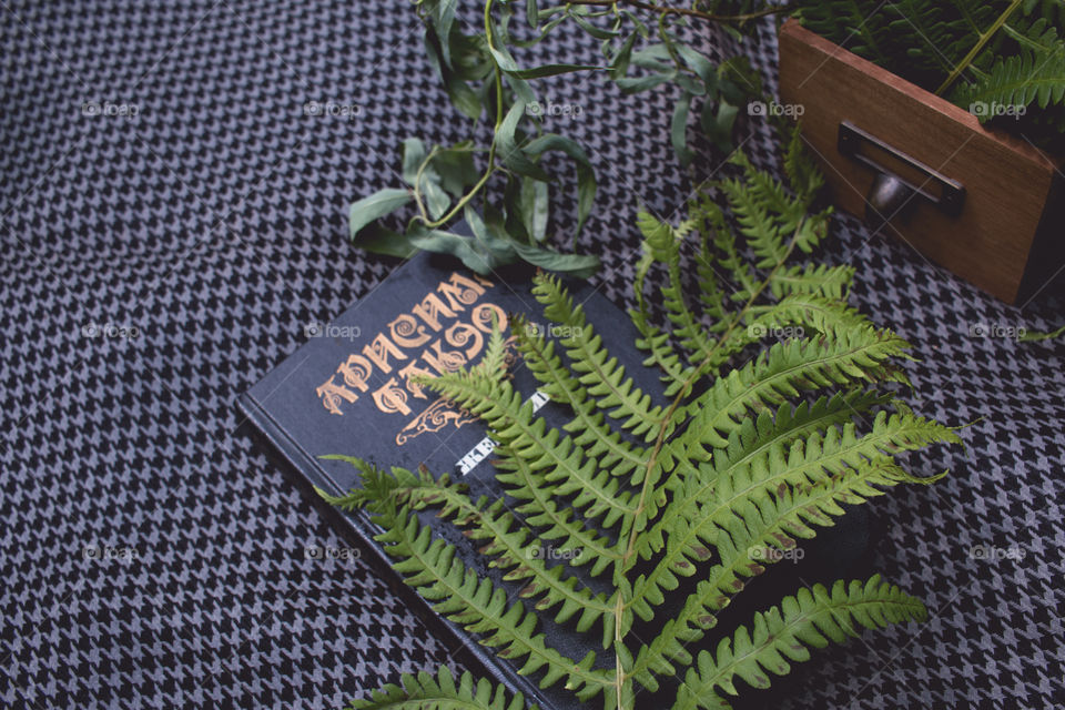 book and green plants