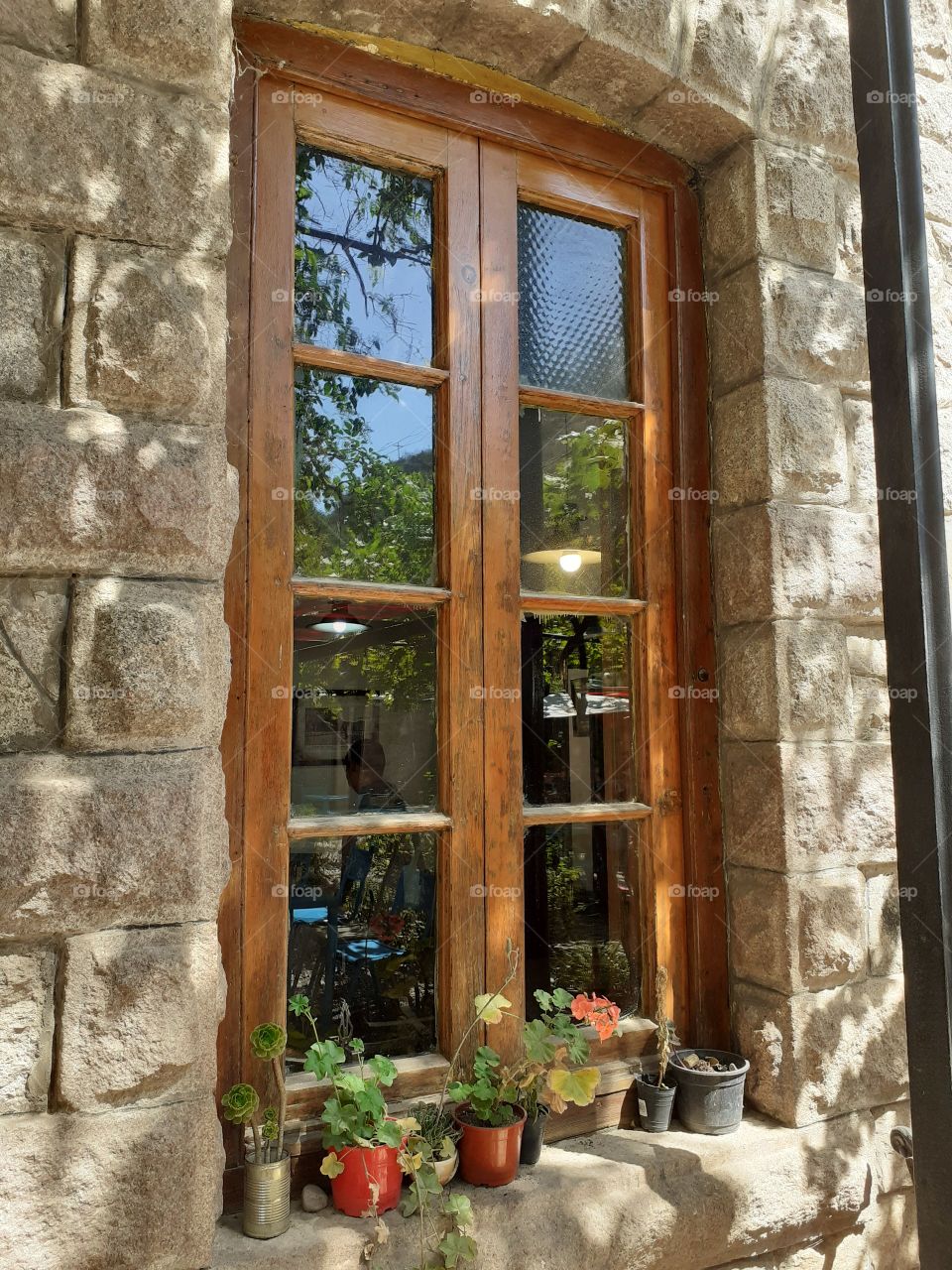 ventanal de un restaurante campestre