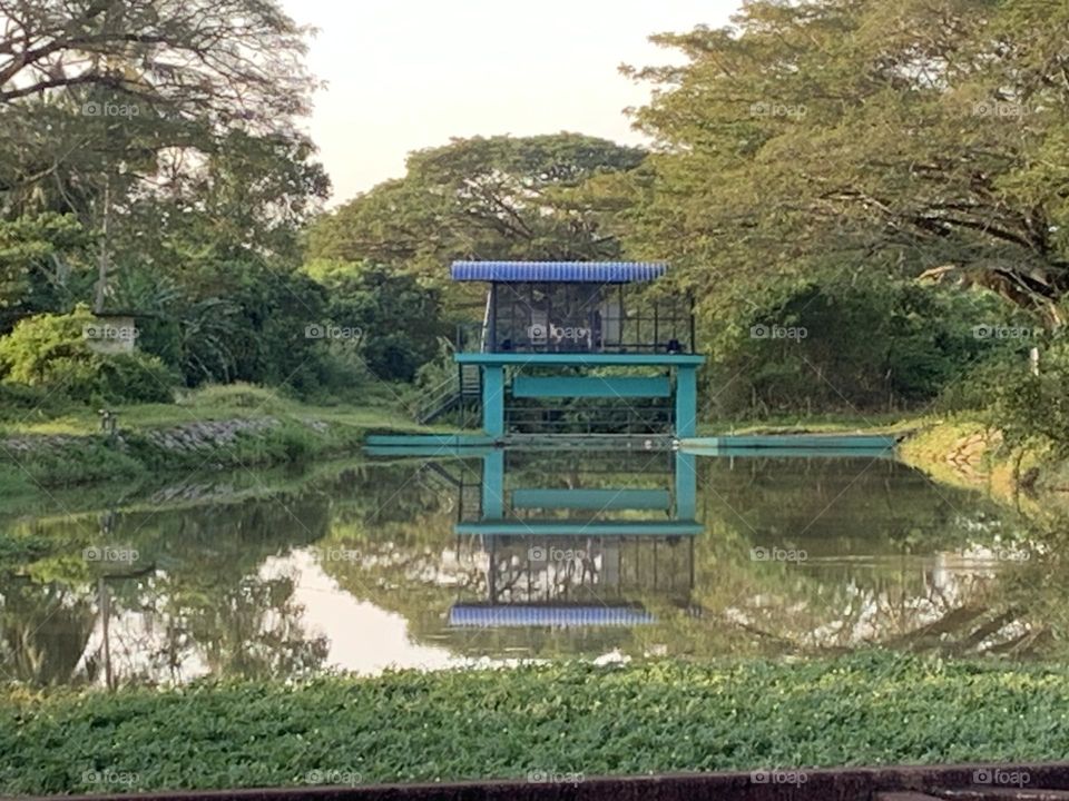 Mini dam at paddy field