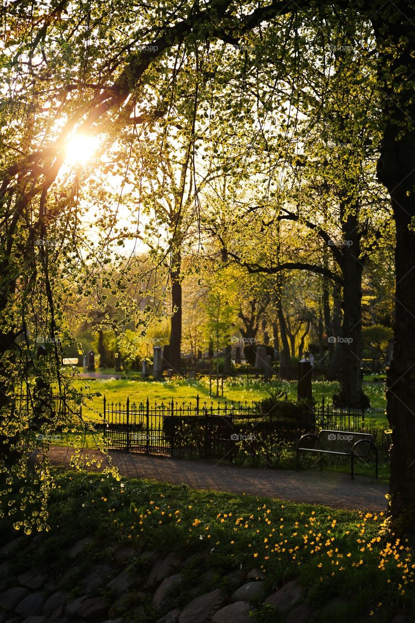 Churchyard