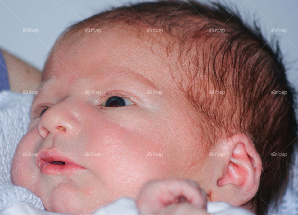 baby boy by chris220252